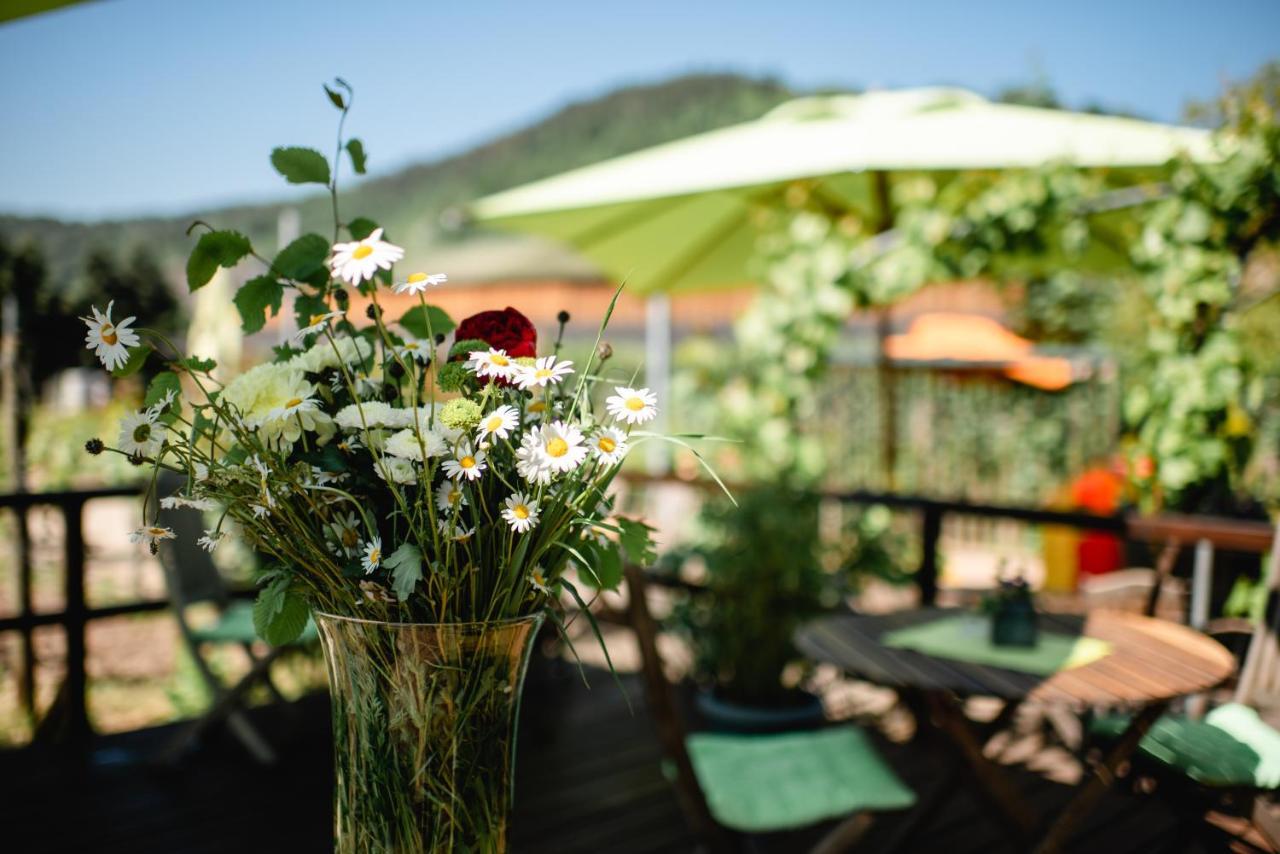 Weingut Und Gaestehaus Zilliken 니텔 외부 사진